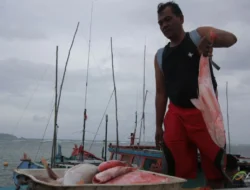 Nelayan Kepri Keluhkan Tangkap Ikan Dibatasi, Pemprov Surati KKP
